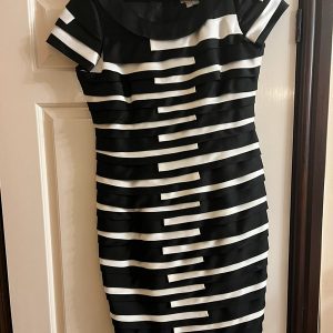 Studibaker Striped Dress