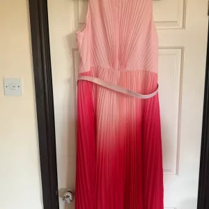 Phase Eight Dress