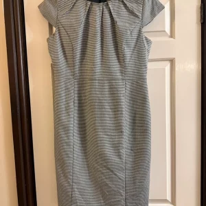 Phase Eight Dress