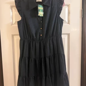 Black and silver wicked dress